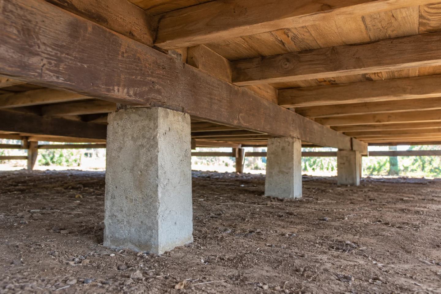 The timber subfloor of a house resting on concrete stumps